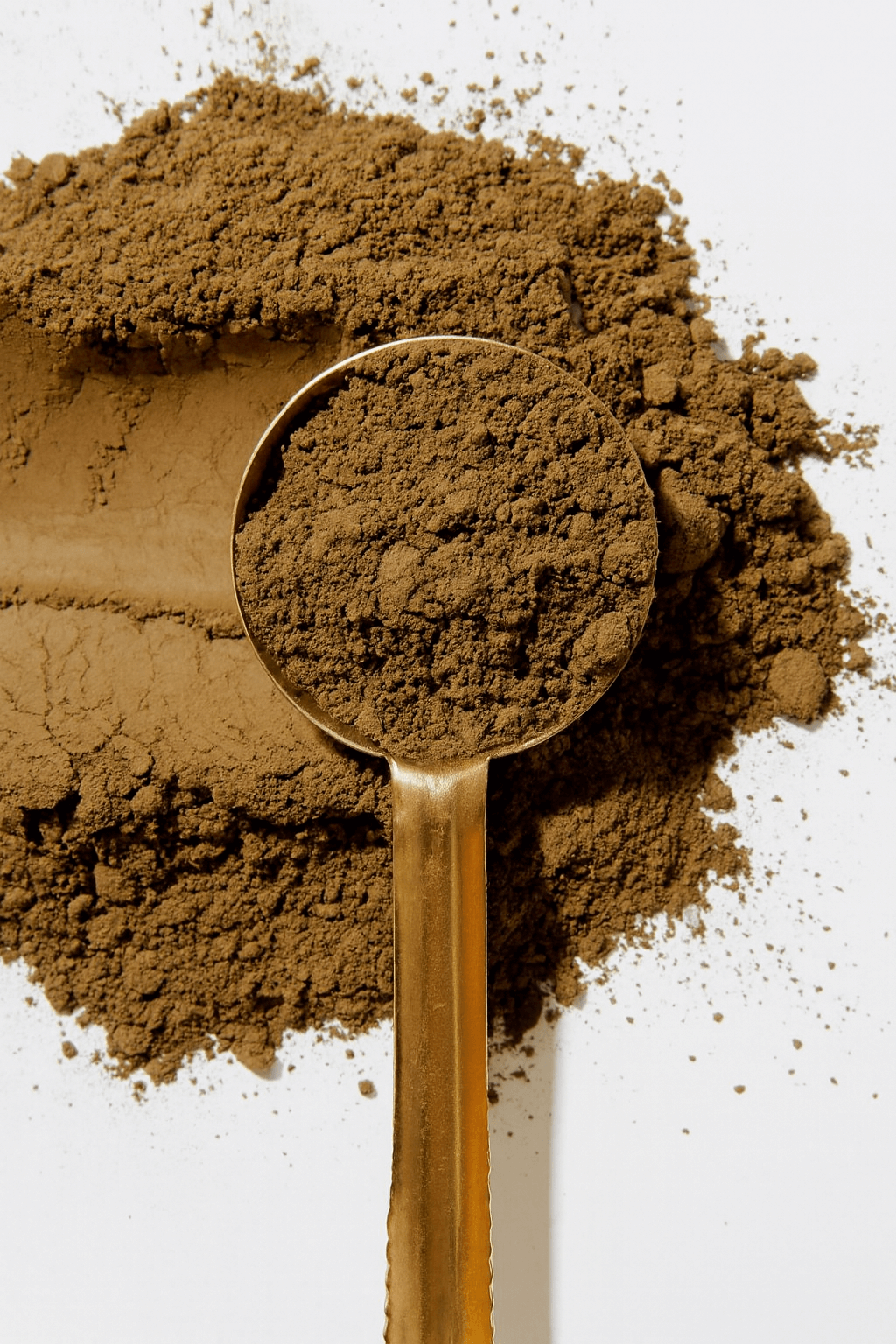 Hojicha en poudre premium et bio